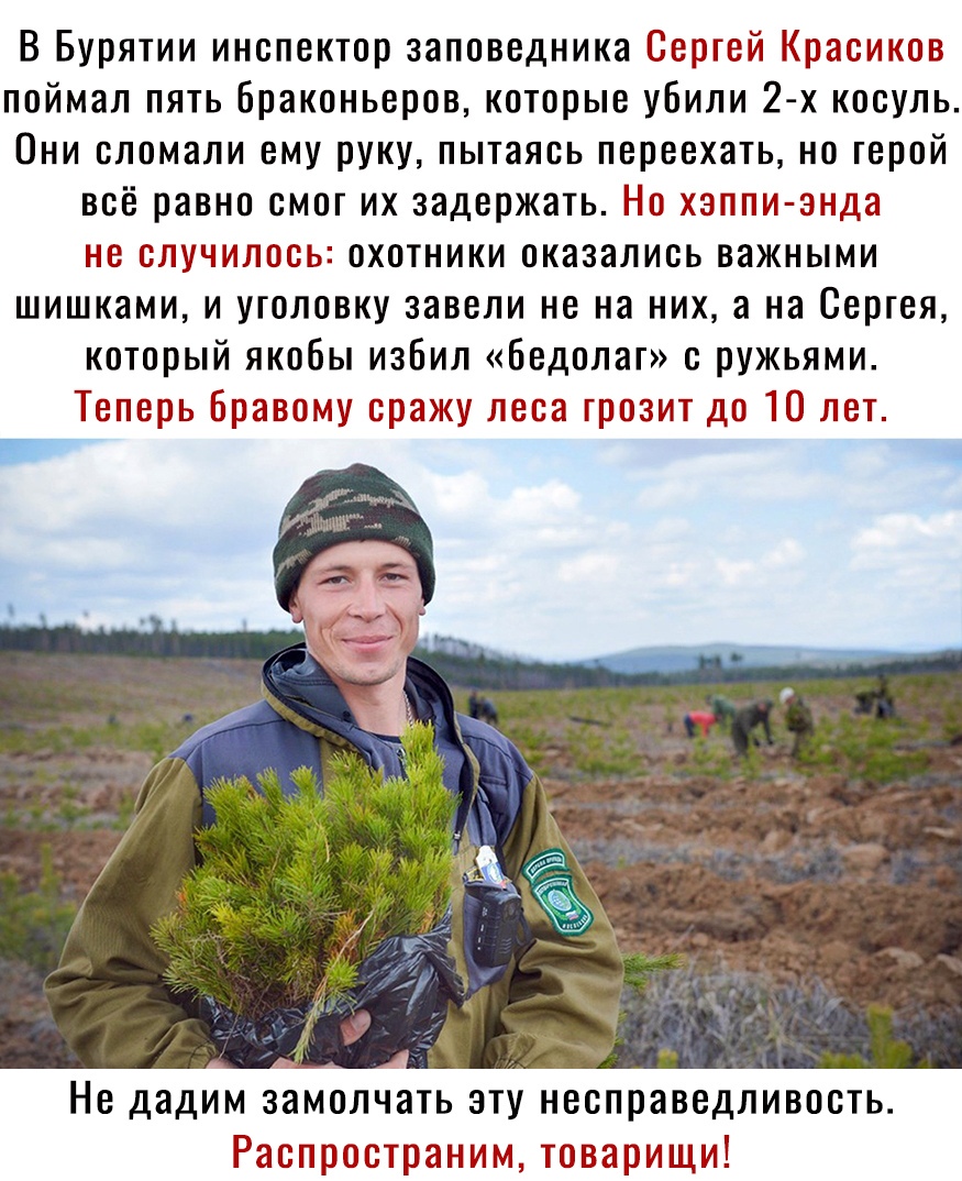 В Бурятии инспектор заповедника Сергей Красиков поймал пять браконьеров которые убили 2 х косуль Они сломали ему руку пытаясь переехать но герой всё равно смог их задержать Но хзппи знда не случилось охотники оказались важными шишками и уголовку завели не на них а на Сергея который якобы избил Бедолаг с ружьями Теперь Бравому оражу леса грозит до 10 лет Не дадим замолчать эту несправедливость Расп