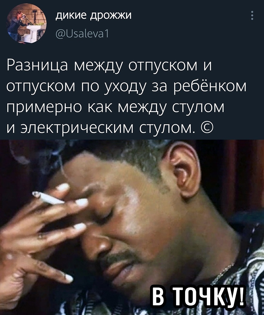 дикие дрожжи Цзаіеуа1 Разница между отпуском и отпуском по уходу за ребёнком примерно как между стулом и электрическим стулом