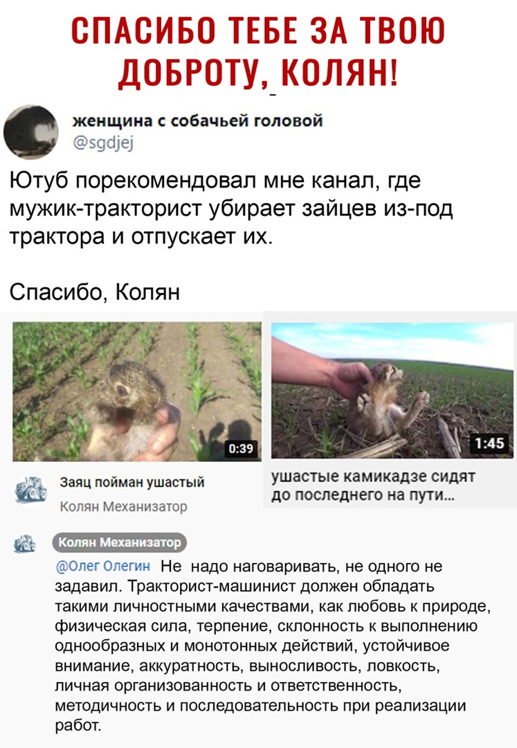 СПАСИБО ТЕБЕ ЗА ТВОЮ ДОБРОТУ_К0ЛЯН _ женщина собачьей головой 59фе Ютуб порекомендовал мне канал где мужик тракторист убирает зайцев из под трактора и отпускает их Спасибо Колян В За пойман Ушастый ушастые камикадзе сидят 0 после НЕГО на П И Колян Механизатор д д ут _ Опеголегин Не надо наговаривать не одного не задавил Тракторист машинист должен обладать такими личностными качествами как любовь к