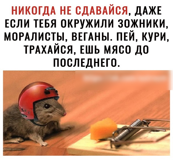 3_1Ь__ ЬЬ ДАЖЕ ЕСЛИ ТЕБЯ ОКРУЖИЛИ ЗОЖНИКИ МОРАЛИСТЫ ВЕГАНЫ ПЕЙ КУРИ ТРАХАЙСЯ ЕШЬ МЯСО ДО ПОСЛЕДНЕГО