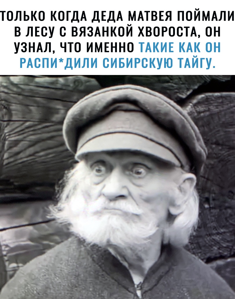 ОЛЬКО КОГДА ДЕДА МАТВЕЯ ПОЙМАЛИ В ЛЕСУ С ВЯЗАНКОЙ ХВОРОСТА ОН УЗНАЛ ЧТО ИМЕННО ТАКИЕ КАК ОН РАСПИДИЛИ СИБИРСКУЮ ТАЙГУ