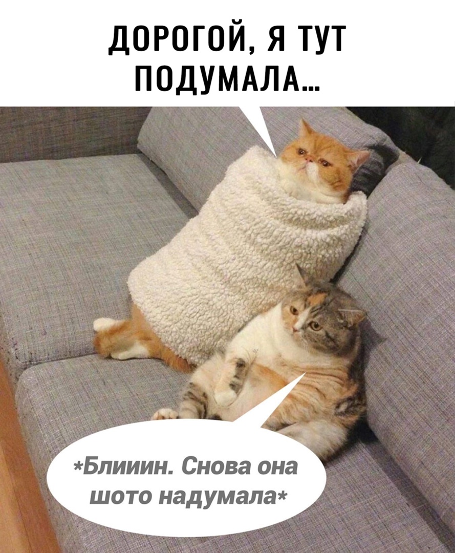 дорогой я тут ПОДУМАЛА Блииин Снова она шото над умала