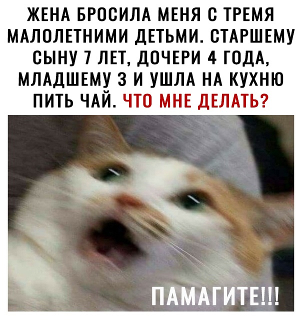 Жена бросила меня с тремя малолетними детьми. Старшему сыну 7 лет, дочери 4 года, младшему 3 и ушла на кухню пить чай. Что мне делать? « » ф ь па'ёёеш