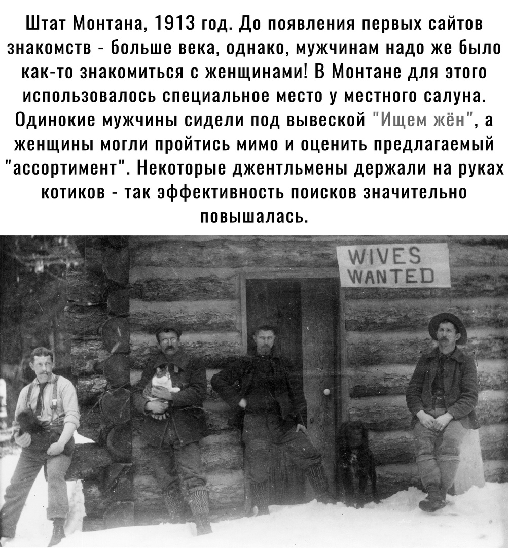 Штат Монтана 1913 год До появления первых сайтов знакомств больше века однако мужчинам надо же было как то знакомиться с женщинами В Монтане для этого использовалось специальное место у местного салуна Одинокие мужчины сидели под вывеской Ищем жён а женщины могли пройтись мимо и оценить предлагаемый ассортимент Некоторые джентльмены держали на руках котиков так эффективность поисков значительно по