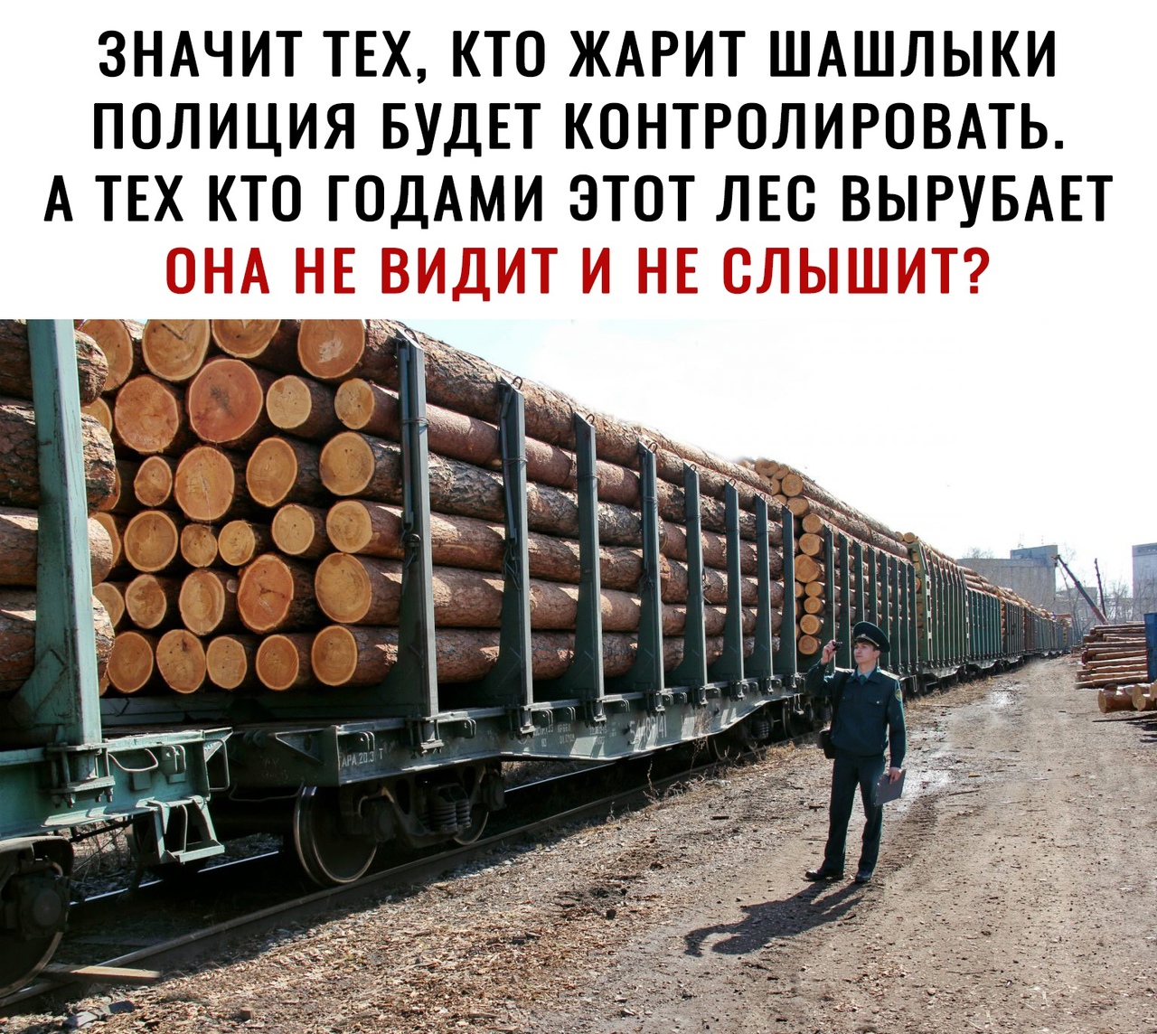 ЗНАЧИТ ТЕХ КТО ЖАРИТ ШАШЛЫКИ ПОЛИЦИЯ БУДЕТ КОНТРОЛИРОВАТЬ А ТЕХ КТОГОДАМИ ЭТОТ ЛЕС ВЫРУБАЕТ Му Т