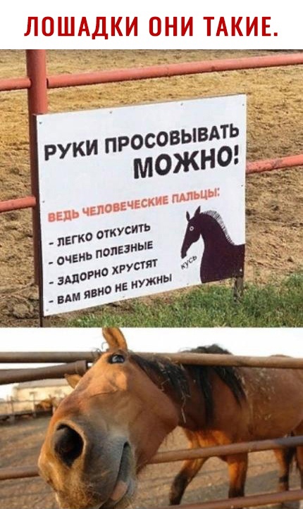 ЛПШАДКИ ОНИ ТАКИЕ