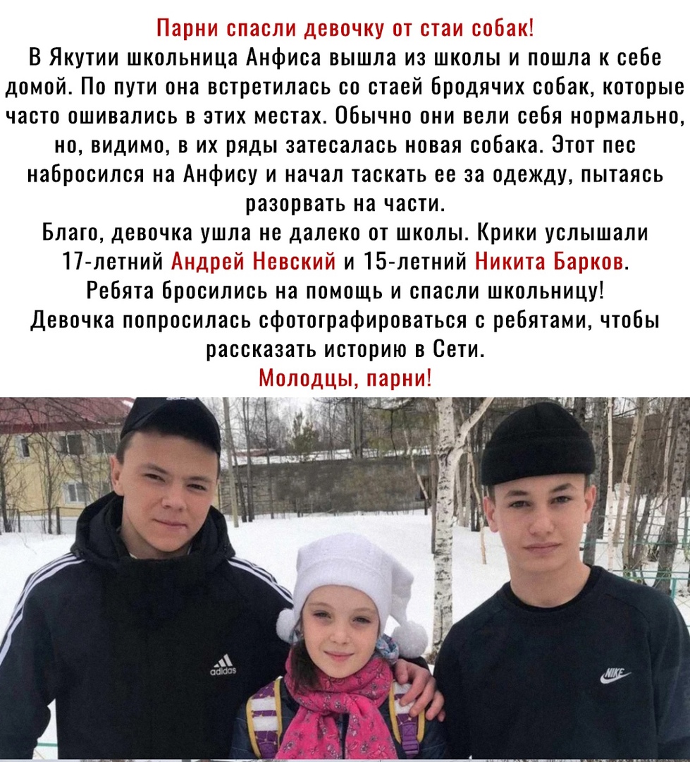 В Якутии школьница Анфиса вышла из школы и пошла к себе домой По пути она встретилась со стаей бродячих собак которые часто ошивались в этих местах Обычно они вели себя нормально но видимо в их ряды затесалась новая собака Этот пес набросился на Анфису и начал таскать ее за одежду пытаясь разорвать на части Благо девочка ушла не далеко от школы Крики услышали 17 летний ей Ясь иЁи15 летний пи Ребят