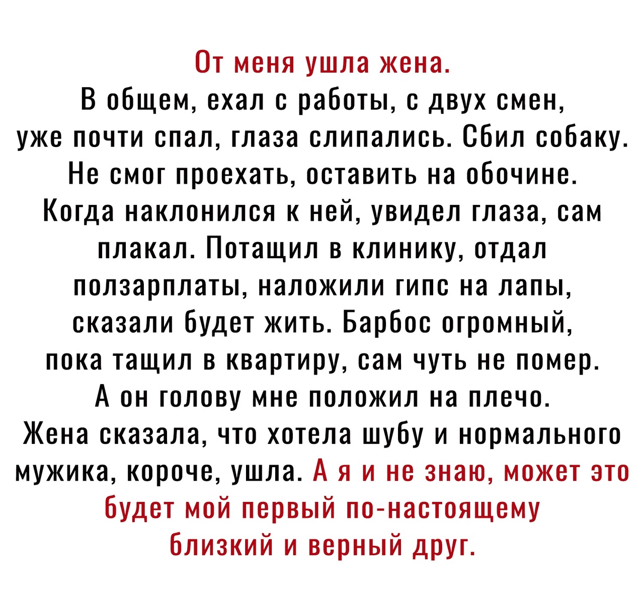 От меня ушла жена В общем ехал с работы с двух смен уже почти спал глаза слипались Сбил собаку Не смог проехать оставить на обочине Когда наклонился к ней увидел глаза сам плакал Потащил в клинику отдал ползарплаты наложили гипс на лапы сказали будет жить Барбос огромный пока тащил в квартиру сам чуть не помер А он голову мне положил на плечо Жена сказалачто хотела шубу и нормального мужика короче