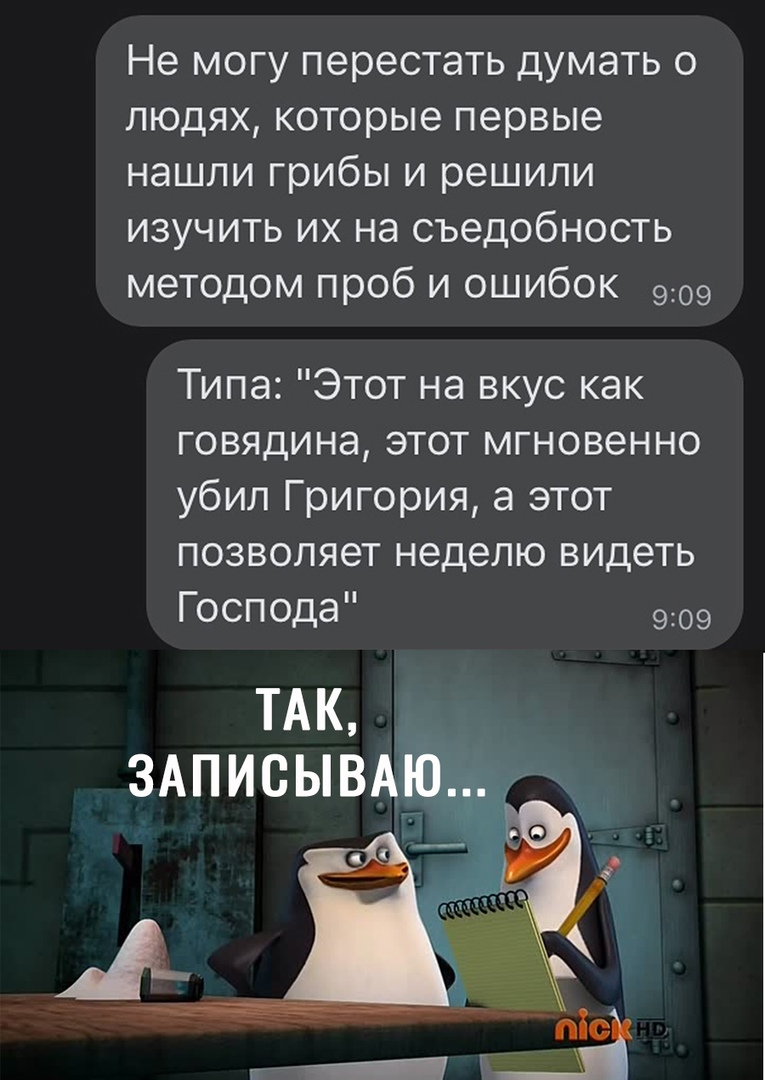 Не могу перестать думать о людях которые первые нашли грибы и решили изучить их на съедобность методом проб и ошибок 909 Типа Этот на вкус как говядина этот мгновенно убил Григория а этот позволяет неделю видеть Господа 909 ТАК ЗАПИСЫВАг