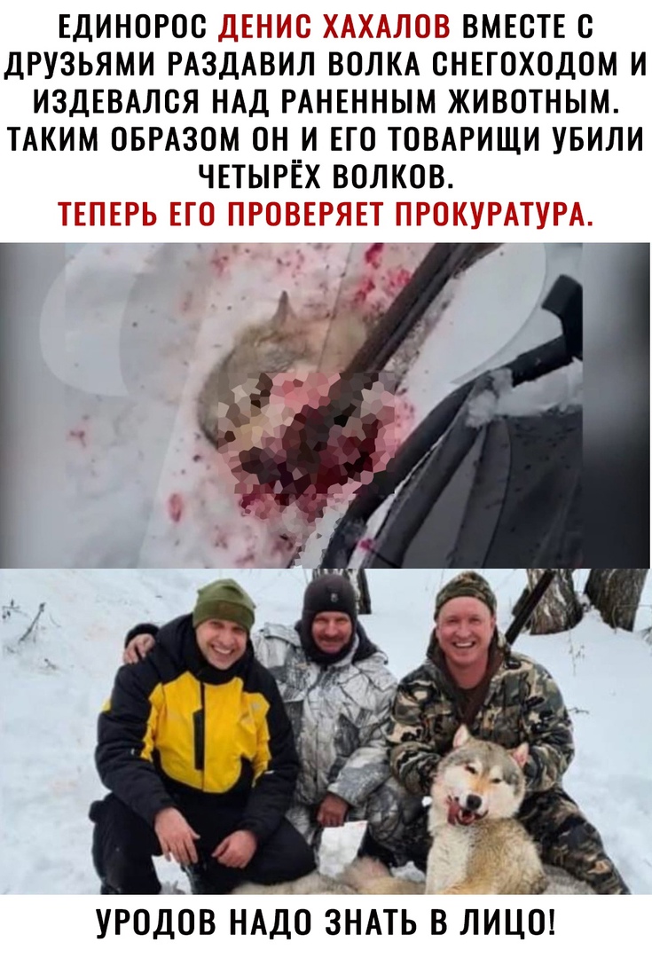 ЕДИНОРОО Ъ Ё ВМЕСТЕ С ДРУЗЬЯМИ РАЗДАВИЛ ВОЛКА СНЕГОХОДОМ И ИЗДЕВАЛОЯ НАД РАНЕННЫМ ЖИВОТНЫМ ТАКИМ ОБРАЗОМ ОН И ЕГО ТОВАРИЩИ УБИЛИ ЧЕТЫРЁХ ВОЛКОВ ж УРОДОВ НАДО ЗНАТЬ В ЛИЦО
