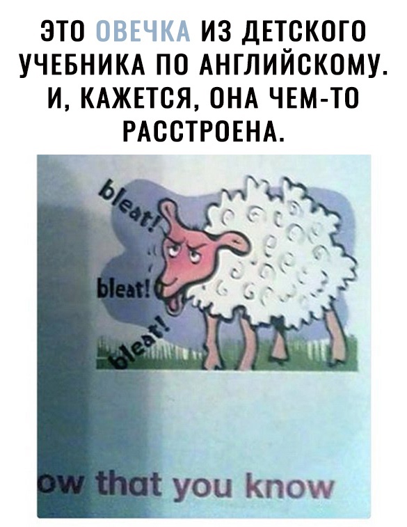 ЭТО ИЗ ДЕТСКОГО УЧЕБНИКА ПО АНГЛИЙСКОМУ И КАЖЕТСЯ ОНА ЧЕМ ТО РАООТРОЕНА