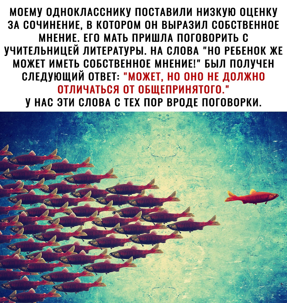 МОЕМУ ОДНОКЛАССНИКУ ПОСТАВИЛИ НИЗКУЮ ОЦЕНКУ ЗА СОЧИНЕНИЕ В КОТОРОМ ОН ВЫРАЗИЛ СОБСТВЕННОЕ МНЕНИЕ ЕГО МАТЬ ПРИШЛА ПОГОВОРИТЬ С УЧИТЕЛЬНИЦЕЙ ЛИТЕРАТУРЫ НА СЛОВА НО РЕБЕНОК ЖЕ МОЖЕТ ИМЕТЬ СОБСТВЕННОЕ МНЕНИЕ БЫЛ ПОЛУЧЕН СЛЕДУЮЩИЙ ОТВЕТ МОЖЕТ НО ОНО НЕ ДОЛЖНО ОТЛИЧАТЬСЯ ОТ ОБЩЕПРИНЯТОГО У НАС ЭТИ СЛОВА С ТЕХ ПОР ВРОД ПОГОВОРКИ