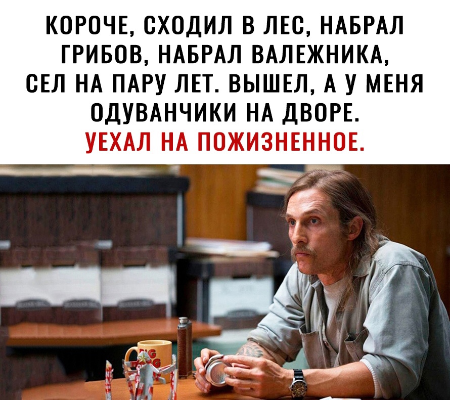 Короче, сходил в лес, набрал грибов, набрал валежника, сел на пару лет. Вышел, а у меня одуванчики на дворе. Уехал на пожизненное. Юь   н   1 у «