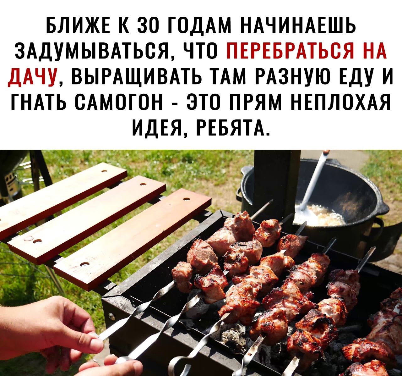 БЛИЖЕ К 30 ГОДАМ НАЧИНАЕШЬ ЗАДУМЫВАТЬСЯ ЧТО П ТТТТТ А Г Г ВЫРАЩИВАТЬ ТАМ РАЗНУЮ ЕДУ И ГНАТЬ САМОГОН ЭТО ПРЯМ НЕПЛОХАЯ ИДЕЯ РЕБЯТА