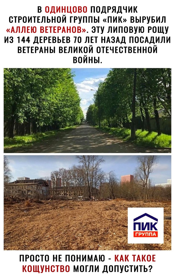 в одинцово подрядчик строитгльной группы ПИК вырувил АЛЛЕЮ ВЕТЕРАНОВ эту липовую рощу из 144 ДЕРЕВЬЕВ ю лвт ндздд пооАдили ВЕТЕРАНЫ ввликой отвчвстввнной войны 7_ ПРООТО НЕ ПОНИМАЮ КАК ТАКОЕ КОЩУНОТВО МОГЛИ ДОПУСТИТЬ