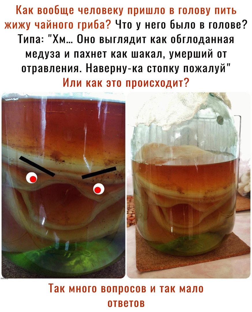 Как СЕЦ ЩВШМ Ь ПШ Ь 15 и Что у него было в голове Типа Хм Оно выглядит как обглоданная медуза и пахнет как шакал умерший от отравления Наверну ка стопку пожалуй Или как эти исхвдит ТЗК ММШПШ ВШЩЗ В И ТЭК ММ ТГВЕЭТ