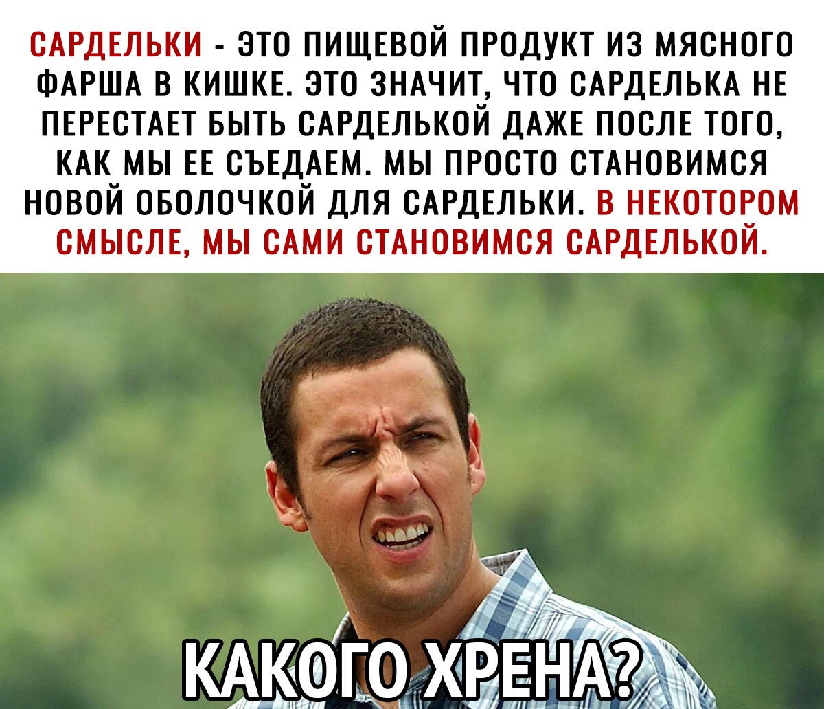 ОАРДЕЛЬКИ ЭТО ПИЩЕВОЙ ПРОДУКТ ИЗ МЯОНОГО ФАРША В КИШКЕ ЭТО ЗНАЧИТ ЧТО ОАРДЕЛЬКА НЕ ПЕРЕСТАЕТ БЫТЬ ОАРДЕЛЬКОИ ДАЖЕ ПОСЛЕ ТОГО КАКчМЫ ЕЕ ОЪЕД_АЕМ МЫ ПРОСТО ОТАНОВИМОЯ НОВОИ ОБОЛОЧКОИ ДЛЯ ОАРДЕЛЬКИ В НЕКОТОВОМ ОМЫОЛЕ МЫ ОАМИ ОТАНОВИМОЯ ОАРДЕЛЬКОИ _ КА_Г0 ХВ ий щх і А У или и