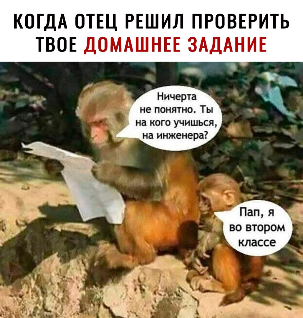 КОГДА ОТЕЦ РЕШИЛ ПРОВЕРИТЬ ТВОЕ ДОМАШНЕЕ ЗАДАНИЕ Ничерта не понятно Ты на кого учишься на инженера Пап я во втором классе