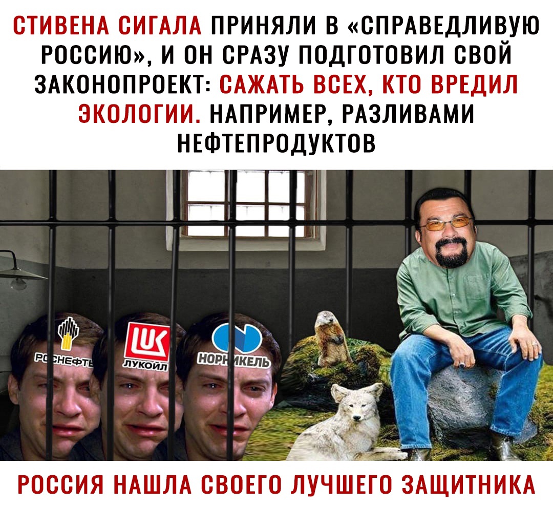 СТИВЕНА СИГАЛА ПРИНЯЛИ В СПРАВЕДЛИВУЮ РОССИЮ И ОН СРАЗУ ПОДГОТОВИЛ СВОИ ЗАКОНОПРОЕКТ САЖАТЬ ВСЕХ КТО ВРЕДИЛ ЭКОЛОГИИ НАПРИМЕР РАЗЛИВАМИ НЕФТЕПРОДУКТОВ а__ О_Ш ГО ЗАЩИТНИКА РОССИЯ НАШЛА СВОЕГО ЛУЧШЕ