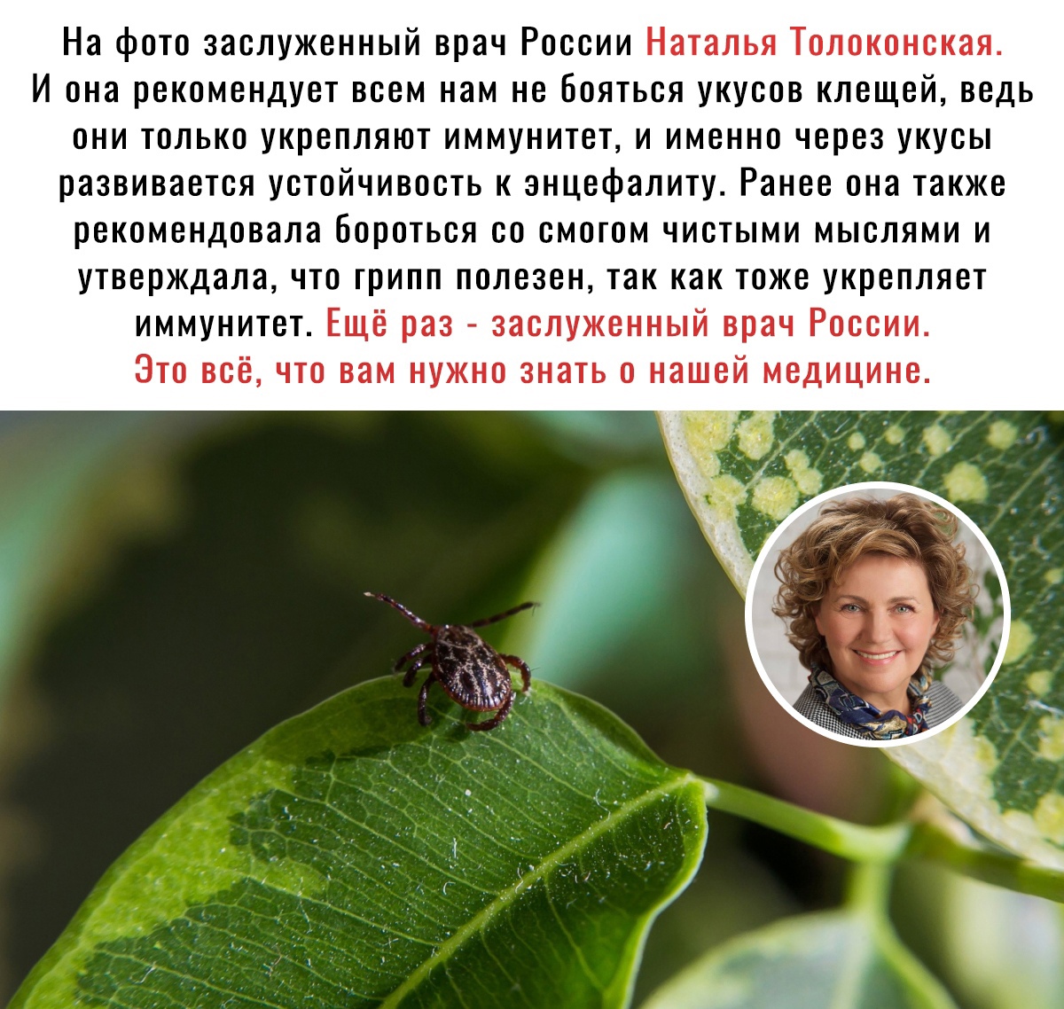 На фото заслуженный врач России Наталья Толоконская И она рекомендует всем нам не Бояться укусов клещей ведь они только укрепляют иммунитет и именно через укусы развивается устойчивость к энцефалиту Ранее она также рекомендовала бороться со смогом чистыми мыслями и утверждала что грипп полезен так как тоже укрепляет иммунитет Ещё раз заслуженный врач России Это всё что вам нужно знать о нашей меди