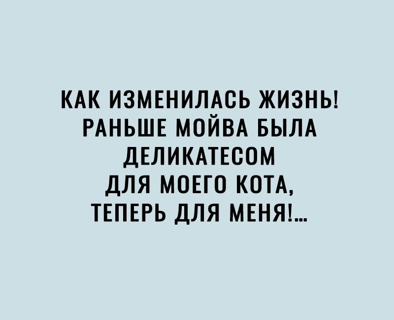 КАК ИЗМЕНИЛАСЬ ЖИЗНЬ РАНЬШЕ МОЙВА БЫЛА ДЕЛИКАТЕСОМ ДЛЯ МОЕГО КОТА ТЕПЕРЬ ДЛЯ МЕНЯ