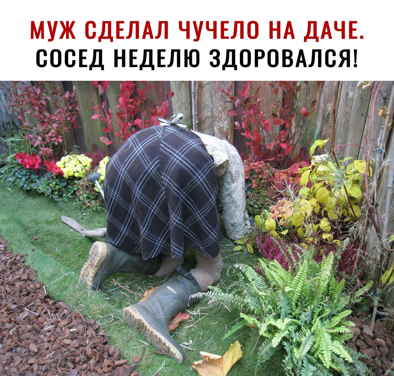 МУЖ СДЕЛАЛ ЧУЧЕЛО НА ДАЧЕ СОСЕД НЕДЕЛЮ ЗДОРОВАЛ д _