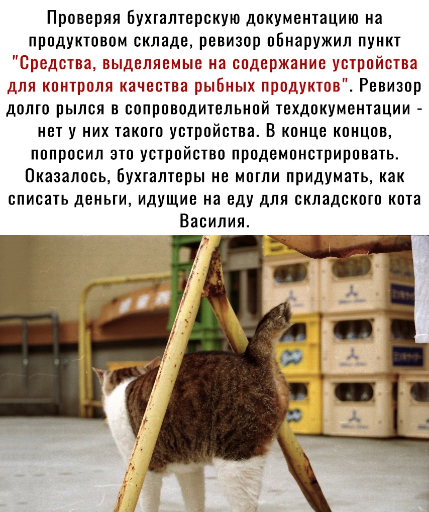 Проверяя бухгалтерскую документацию на продуктовом складе ревизор обнаружил пункт для г гг и у х Ревизор долго рылся в сопроводительной техдокументации нет у них такого устройства В конце концов попросил это устройство продемонстрировать Оказалось Бухгалтеры не могли придумать как списать деньги идущие на еду для складского кота Василия
