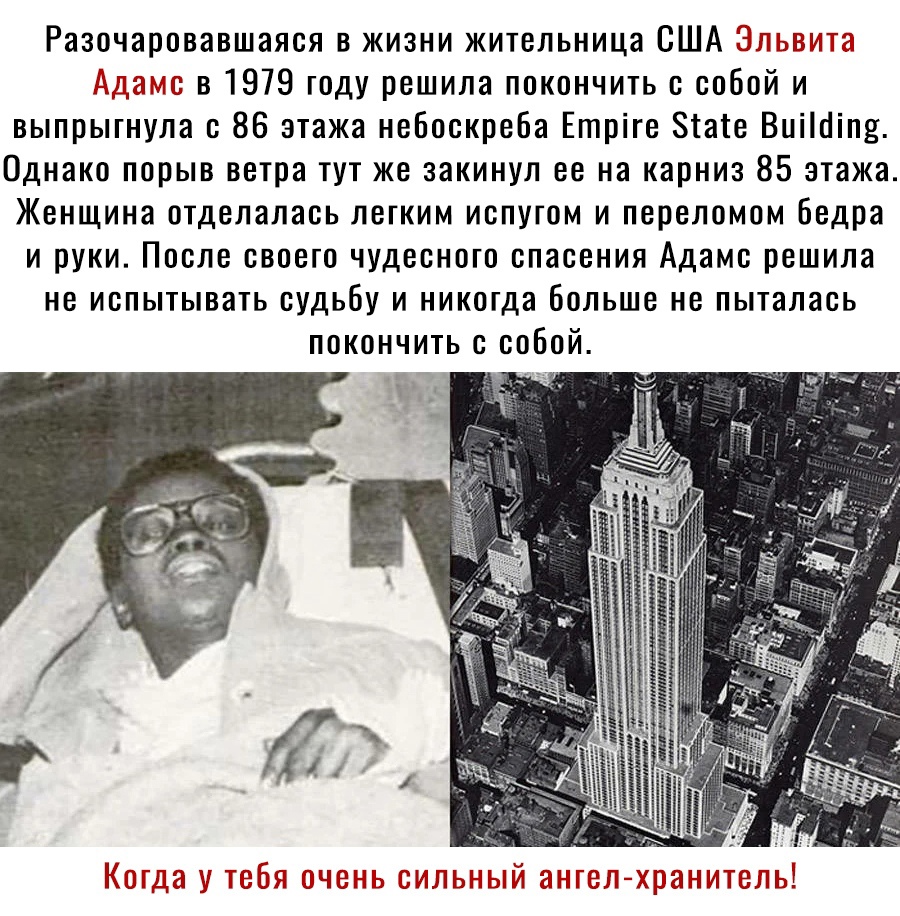 Разочаровавшаяся в жизни жительница США во 3 г в 1979 году решила покончить с собой и выпрыгнула с 86 этажа небоскреба Етріге Зіаіе Виіісііпд Однако порыв ветра тут же закинул ее на карниз 85 этажа Женщина отделалась легким испугом и переломом бедра и руки После своего чудесного спасения Адамс решила не испытывать судьбу и никогда больше не пыталась покончить с собой