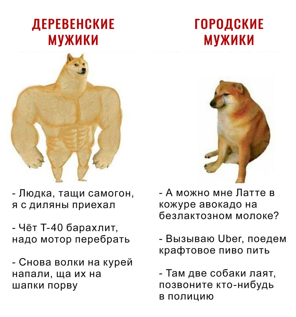 ДЕРЕВЕНСКИЕ МУЖИКИ Людка тащи самогон я сдипяны приехал Чёт Т 40 барахлит надо мотор перебрать Снова волки на курей напали ща их на шапки порву ГОРОДСКИЕ МУЖИКИ А можно мне Латте в кожуре авокадо на безпактозном молоке Вызываю ЦЬег поедем крафтовое пиво пить Там две собаки паят позвоните кто нибудь в полицию
