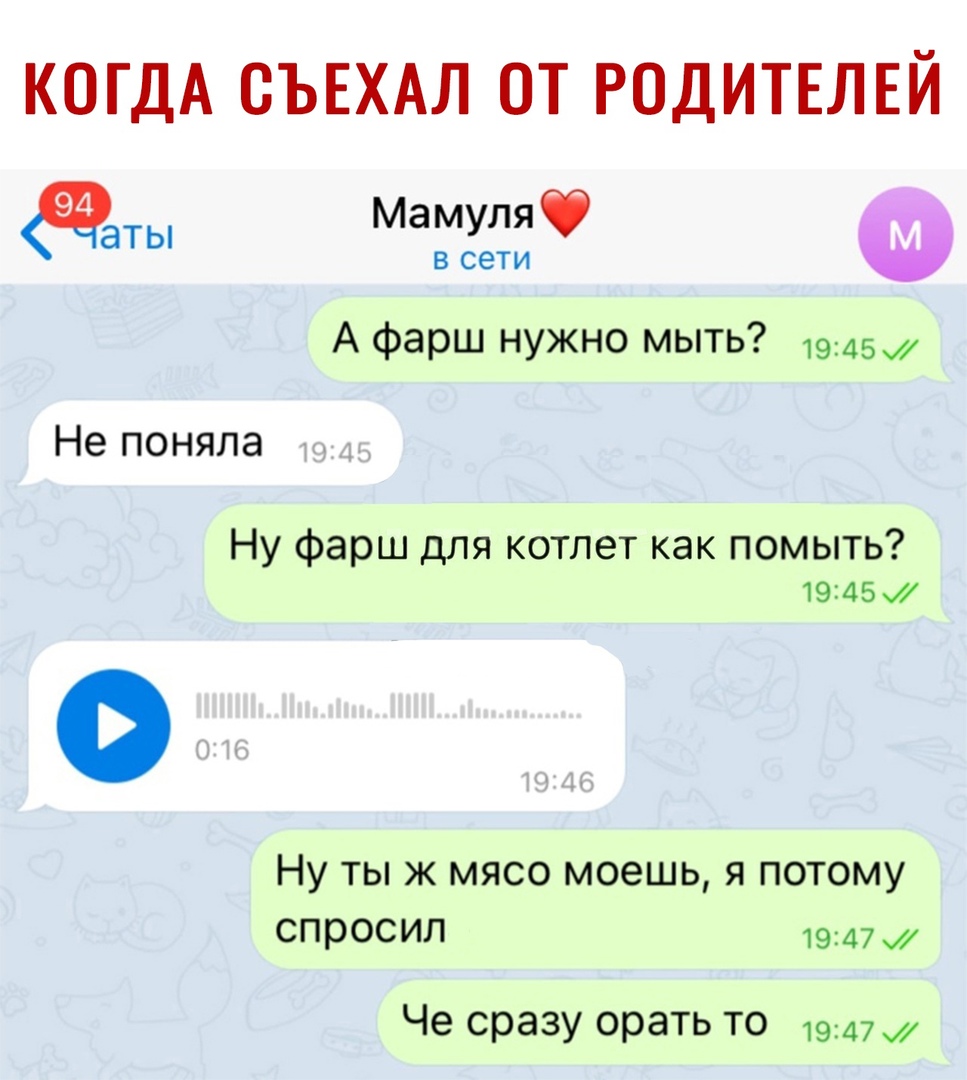 КОГДА СЪЕХАЛ ОТ РОДИТЕЛЕЙ Мамф В сети А фарш нужно мыть 1945м Не поняла Ну фарш для котлет как помыть 1945 Ну ты ж мясо моешь я потому спросил 1947 Че сразу орать то вид