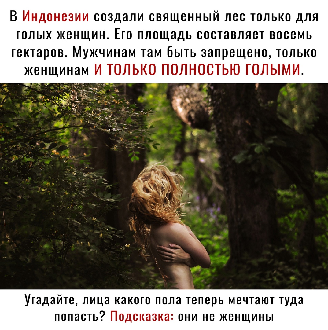 В Индонезии создали священный лее только для голых женщин Его площадь составляет восемь гектаров Мужчинам там Быть запрещено только женщинам И ТОЛЬКО ПОЛНОСТЬЮ ГОЛЫМИ и Угадайте лица какого пола теперь мечтают туда ПОПЭСТЬ Подсказка ОНИ НВ ЖЕНЩИНЫ