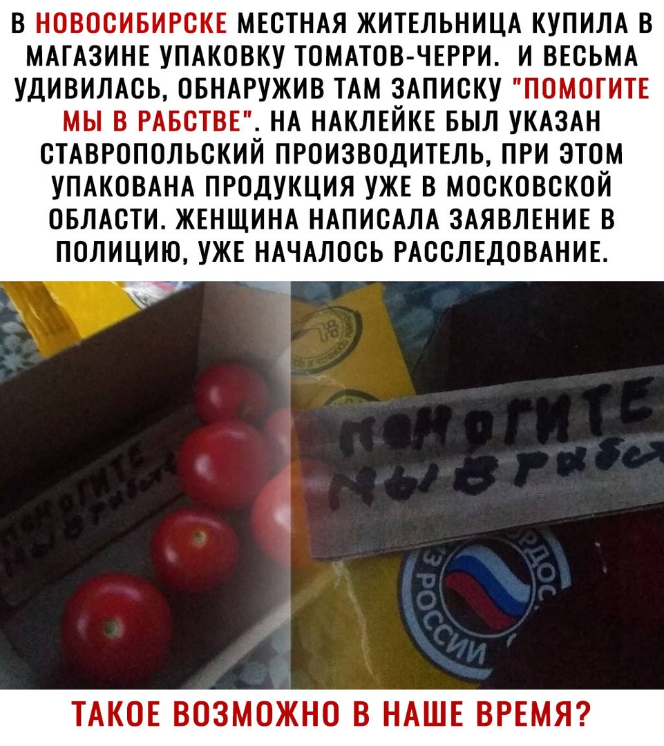 В НОВОСИБИРСКЕ МЕСТНАЯ ЖИТЕЛЬНИЦА КУПИЛА В МАГАЗИНЕ УПАКОВКУ ТОМАТОВ ЧЕРРИ И ВЕСЬМА УДИВИЛАСЬ ОБНАРУЖИВ ТАМ ЗАПИСКУ ПОМОГИТЕ МЫ В РАБСТВЕ НА НАКЛЕЙКЕ БЫЛ УКАЗАН СТАВРОПОЛЬСКИЙ ПРОИЗВОДИТЕЛЬ ПРИ ЭТОМ УПАКОВАНА ПРОДУКЦИЯ УЖЕ В МОСКОВСКОЙ ОБЛАСТИ ЖЕНЩИНА НАПИСАЛА ЗАЯВЛЕНИЕ В ПОЛИЦИЮ УЖЕ НАЧАЛОСЬ РАССЛЕДОВАНИЕ ТАКОЕ ВОЗМОЖНО В НАШЕ ВРЕМЯ