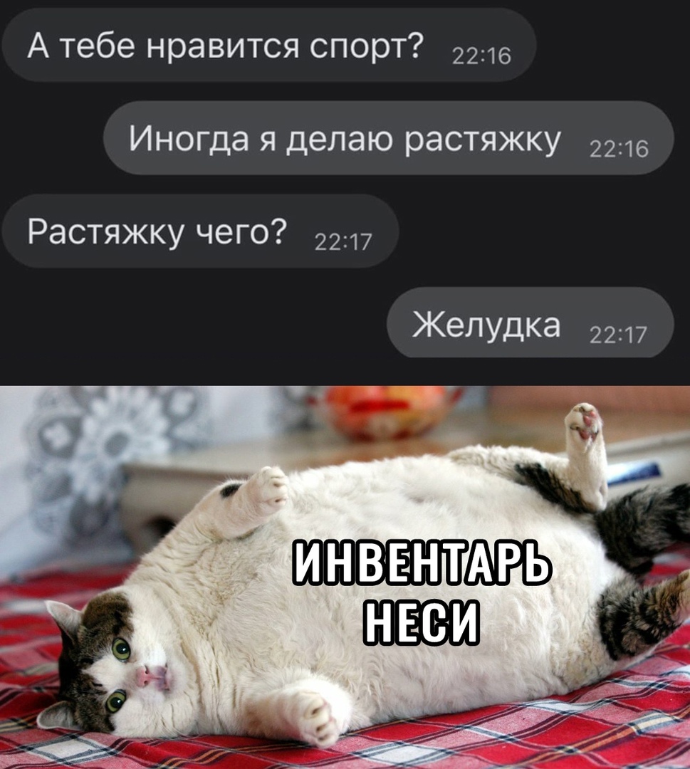 А тебе нравится спорт 2216 Иногда я делаю растяжку 2216 Растяжку чего 2217 Желудка 2217 ТГ