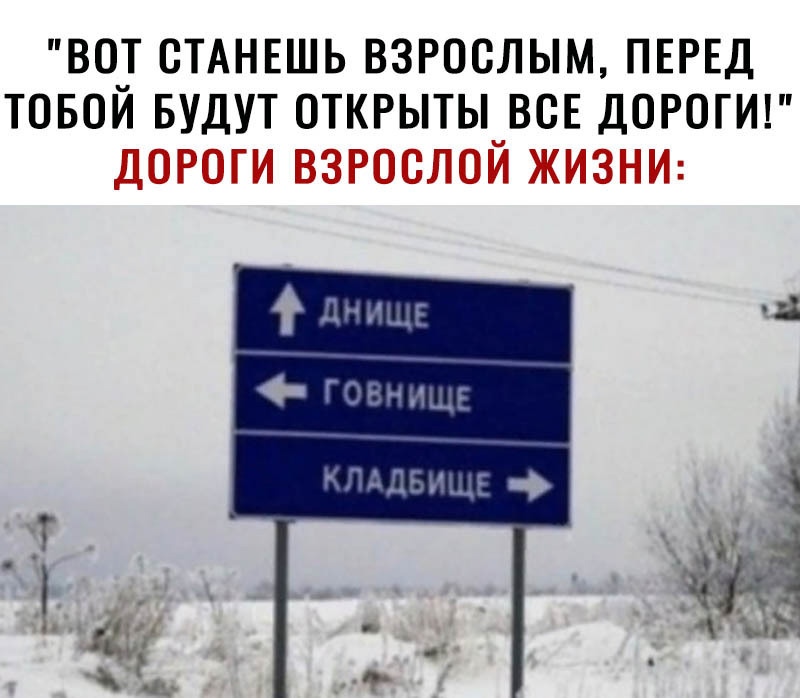 ВО_Т СТАНЕШЬ ВЗРОСЛЫМ ПЕРЕД ТОБОИ БУДУТ 0ТКРЫТЫ_ВСЕ ДОРОГИ ДОРОГИ ВЗРОСЛОИ ЖИЗНИ