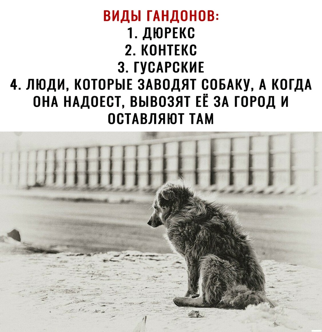 ВИДЫ ГАНДОНОВ 1 ДЮРЕКО 2 КОНТЕКО 3 ГУОАРОКИЕ 4 ЛЮДИ КОТОРЫЕ ЗАВОДЯТ СОБАКУ А КОГДА ОНА НАДОЕОТ ВЫВОЗЯТ ЕЁ ЗА ГОРОД И ООТАВЛЯЮТ ТАМ ЦН Н о_