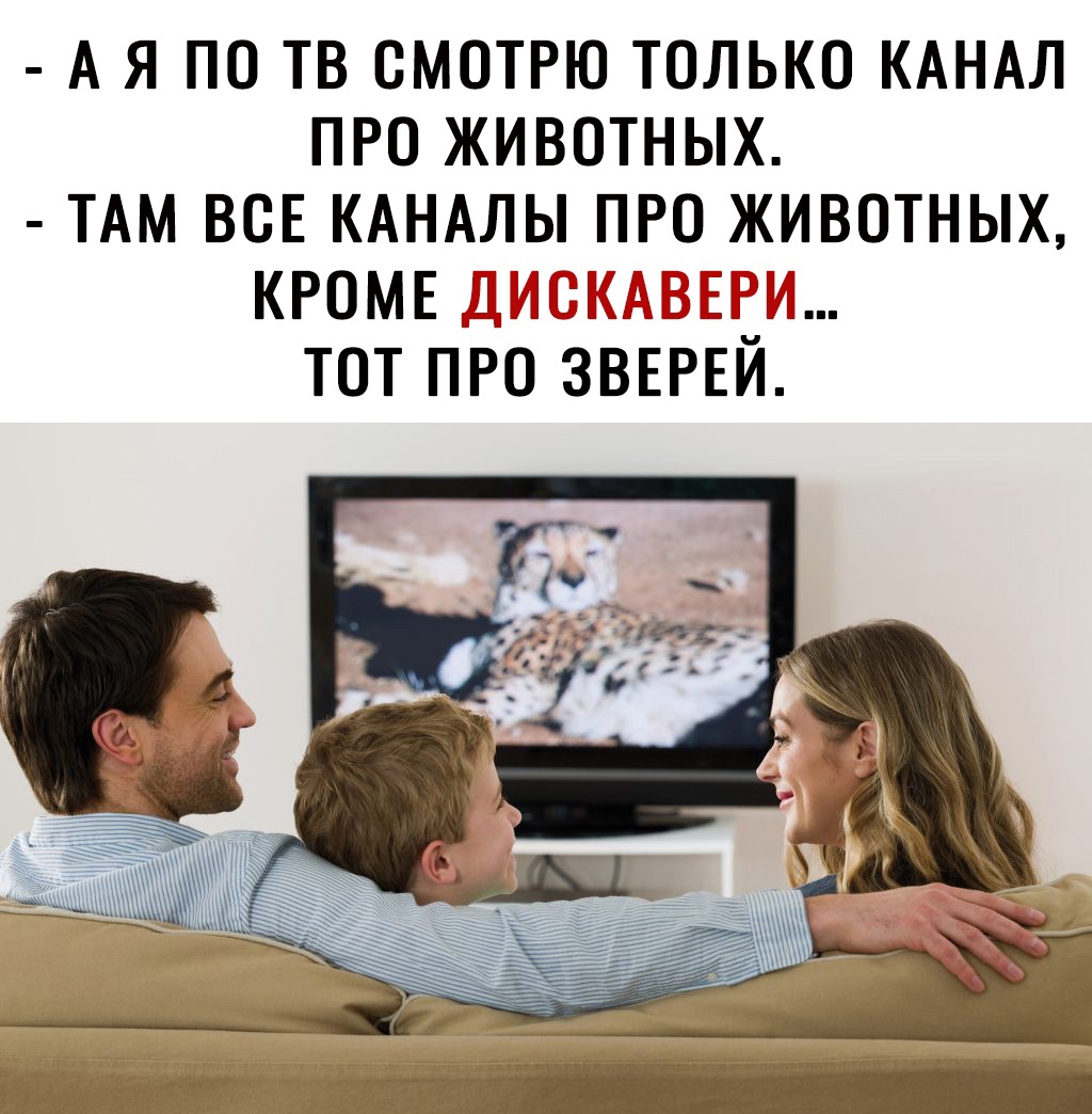 А Я ПО ТВ СМОТРЮ ТОЛЬКО КАНАЛ ПРО ЖИВОТНЫХ ТАМ ВОЕ КАНАЛЫ ПРО ЖИВОТНЫХ КРОМЕ Д И ТОТ ПРО ЗВЕРЕИ 72 дн