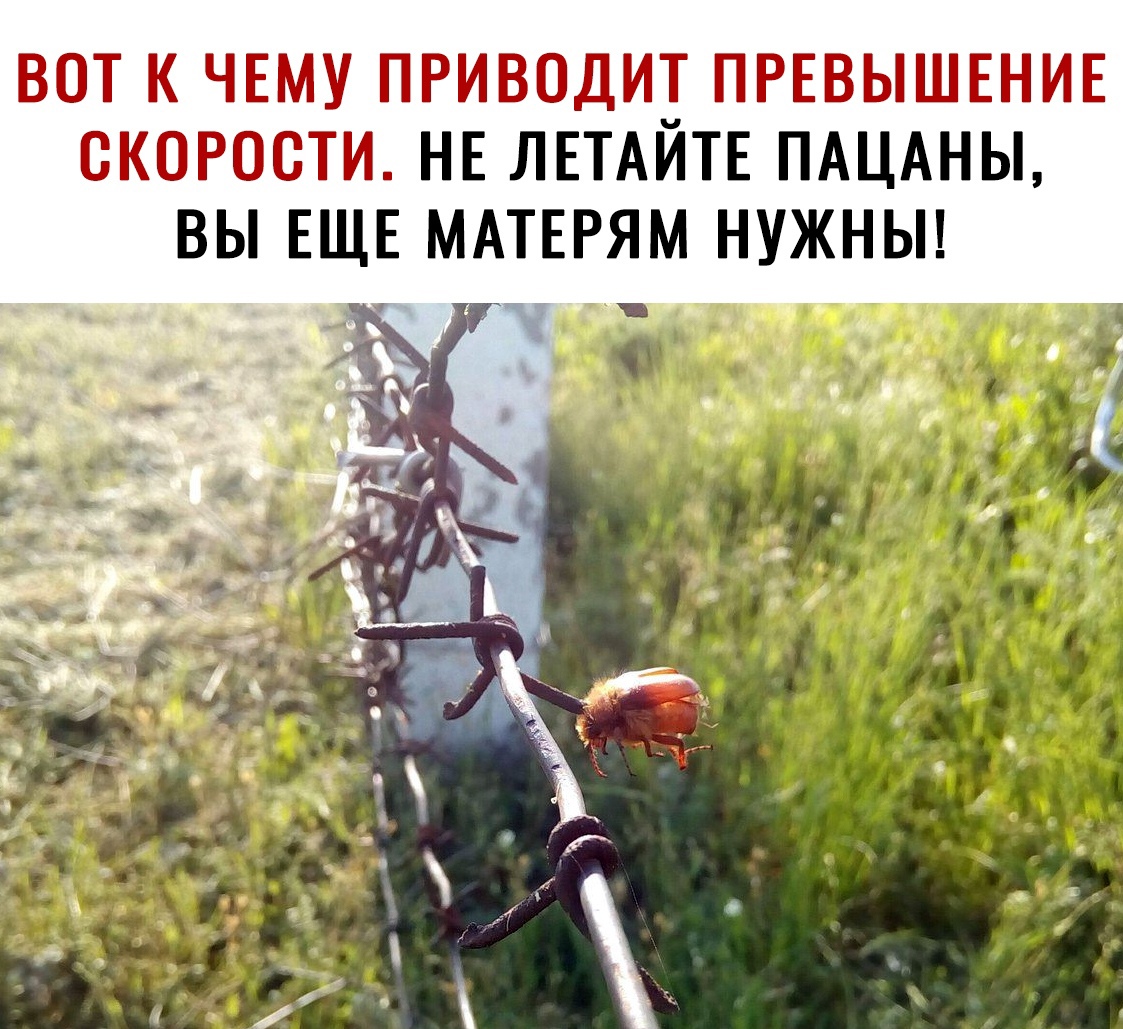 ВОТ К ЧЕМУ ПРИВОДИТ ПРЕВЫШЕНИЕ СКОРОСТИ НЕ ЛЕТАЙТЕ ПАЦАНЫ ВЫ ЕЩЕ МАТЕРЯМ НУЖНЫ я и д