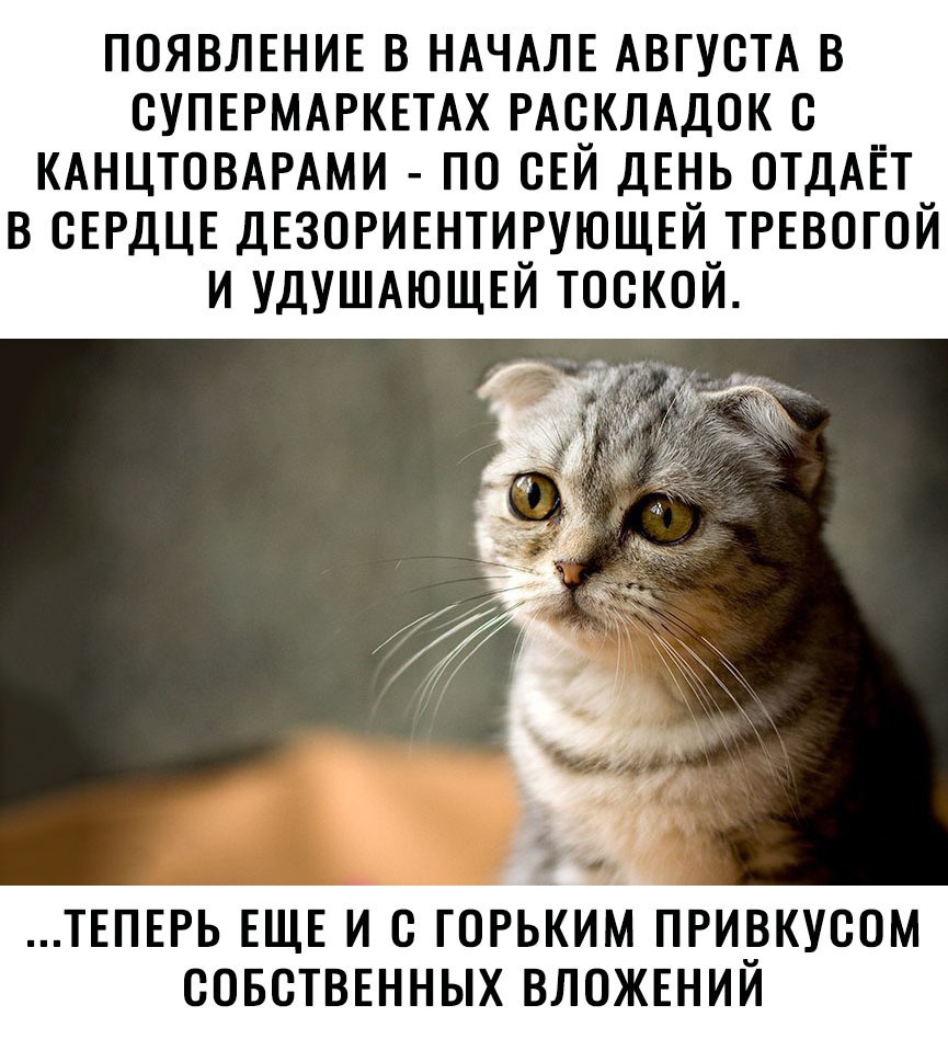 появлшив в НАЧАЛЕ АВГУСТА в СУПЕРМАРКЕТАХ РАСКЛАДОК с КАНЦТОВАРАМИ по свй ДЕНЬ ОТДАЁТ в СЕРДЦЕ ДЕЗОРИЕНТИРУЮЩЕЙ ТРЕВОГОЙ и УДУШАЮЩЕЙ тоской и ТЕПЕРЬ ЕЩЕ И С ГОРЬКИМ ПРИРКУСОМ СОБСТВЕННЫХ ВЛОЖЕНИИ