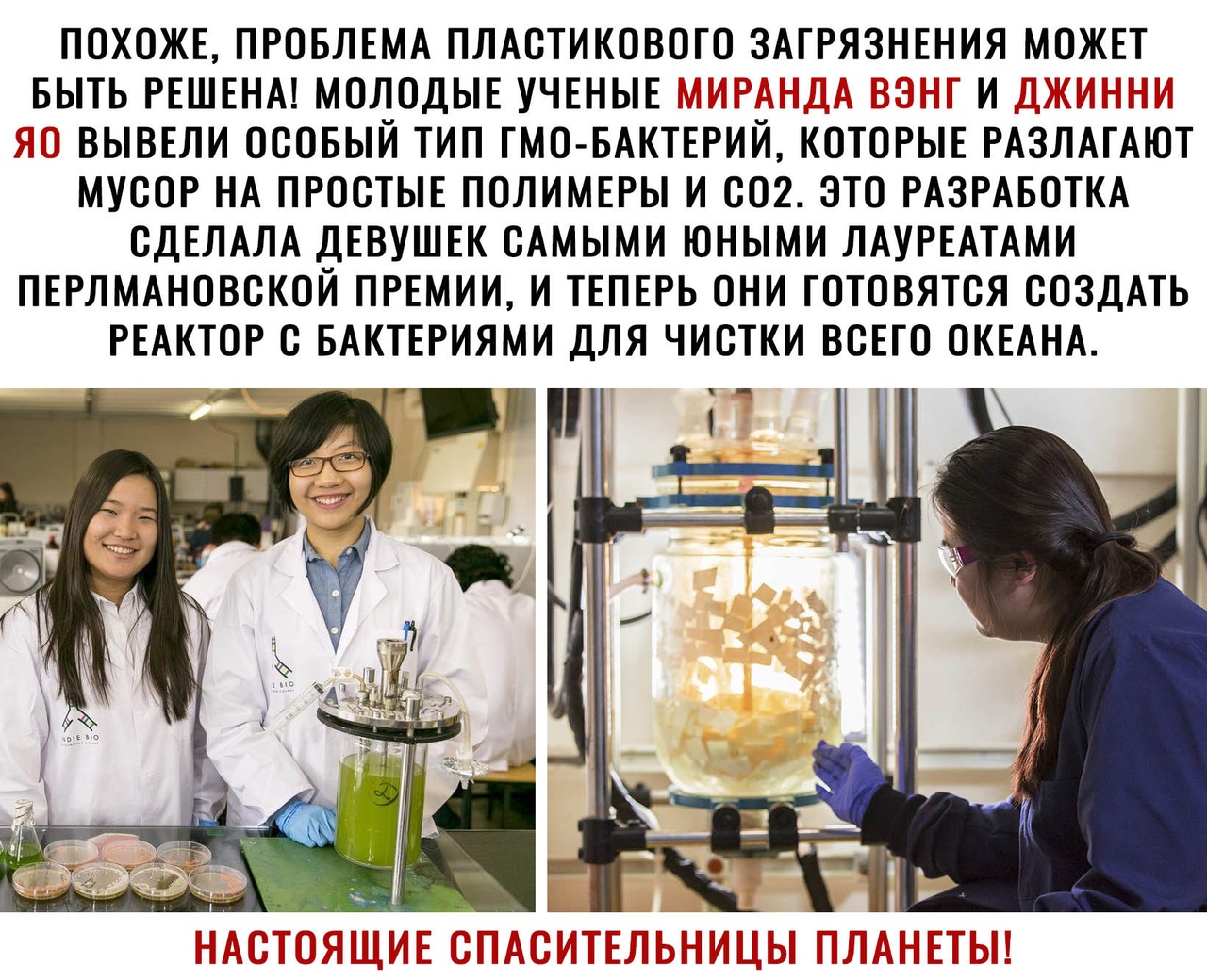ПОХОЖЕ ПРОБЛЕМА ПЛАСТИКОВОГО ЗАГРЯЗНЕНИЯ МОЖЕТ БЫТЬ РЕШЕНА МОЛОДЫЕ УЧЕНЫЕ _ 13 И ВЫВЕЛИ ОСОБЫЙ ТИП ГМО БАКТЕРИИ КОТОРЫЕ РАЗЛАГАЮТ МУСОР НА ПРОСТЫЕ ПОЛИМЕРЫ И 002 ЗТО РАЗРАБОТКА СДЕЛАЛА ДЕВУШЕК САМЫМИ ЮНЫМИ ЛАУРЕАТАМИ ПЕРЛМАНОВСКОЙ ПРЕМИИ И ТЕПЕРЬ ОНИ ГОТОВЯТСЯ СОЗДАТЬ РЕАКТОР С БАКТЕРИЯМИ ДЛЯ ЧИСТКИ ВСЕГО ОКЕАНА