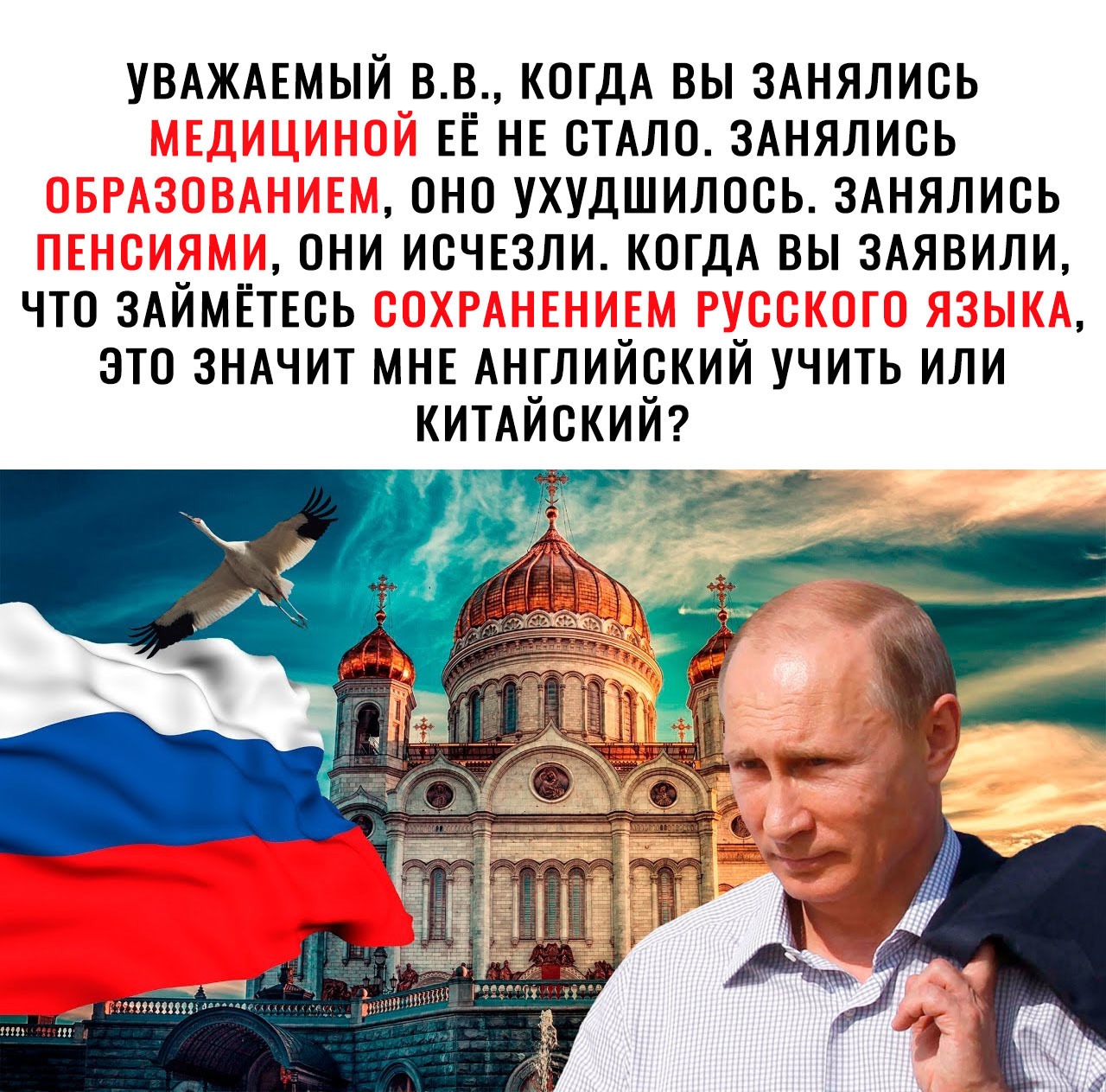 УВАЖАЕМЫЙ вв КОГДА вы 3Анялись ЕЁ НЕ СТАЛО 3Анялись оно ухудшилось 3Анялись они исчюли КОГДА вы ЗАЯВИЛИ что ЗАЙМЁТЕСЬ это ЗНАЧИТ МНЕ Английский учить или КИТАЙСКИЙ