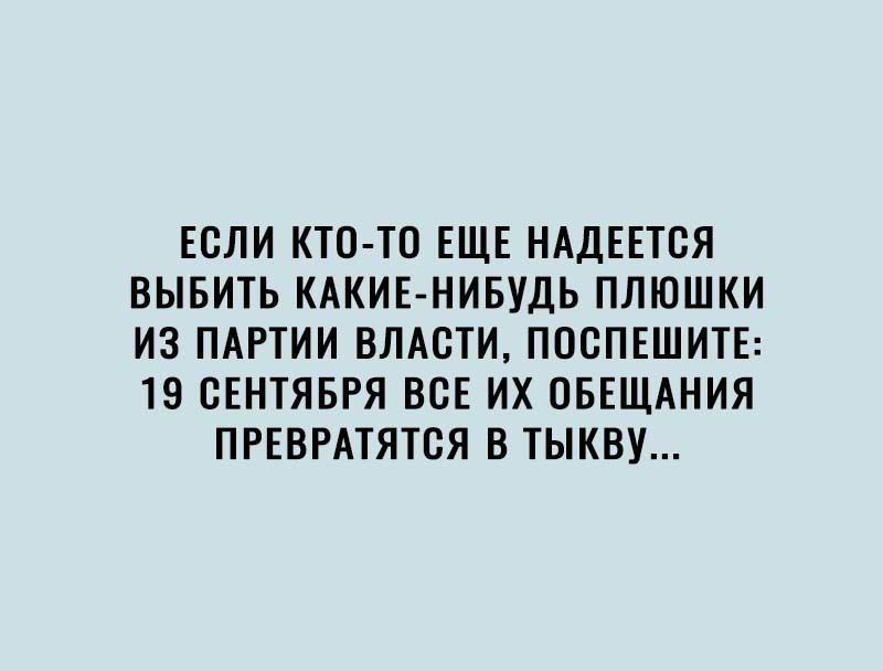 ЕСЛИ КТО ТО ЕЩЕ НАДЕЕТСЯ ВЫБИТЬ КАКИЕ НИБУДЬ ПЛЮШКИ ИЗ ПАРТИИ ВЛАСТИ ПОСПЕШИТЕ 19 СЕНТЯБРЯ ВСЕ ИХ ОБЕЩАНИЯ ПРЕВРАТЯТСЯ В ТЫКВУ