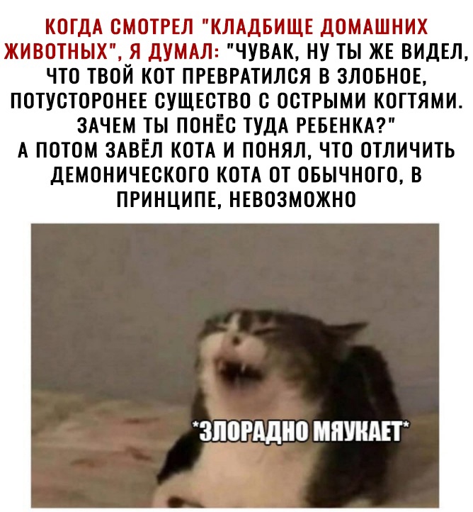 КОГДА ОМОТРЕЛ КЛАДБИЩЕ ДОМАШНИХ ЖИВОТНЫХ Я ДУМАЛ ЧУВАК НУ ТЫ ЖЕ ВИДЕЛ ЧТО ТВОЙ КОТ ПРЕВРАТИЛОЯ В 3ЛОБНОЕ ПОТУСТОРОНЕЕ СУЩЕСТВО О ОСТРЫМИ КОГТЯМИ ЗАЧЕМ ТЫ ПОНЕС ТУДА РЕБЕНКА А ПОТОМ ЗАВЕЛ КОТА И ПОНЯЛ ЧТО ОТЛИЧИТЬ ДЕМОНИЧЕОКОТО КОТА ОТ ОБЫЧНОГО В ПРИНЦИПЕ НЕВОЗМОЖНО ЗЛДРАДНО МЯУНАЕТ