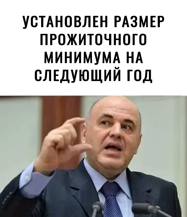 УСТАНОВЛЕН РАЗМЕР прожиточного минимум НА слшующий год
