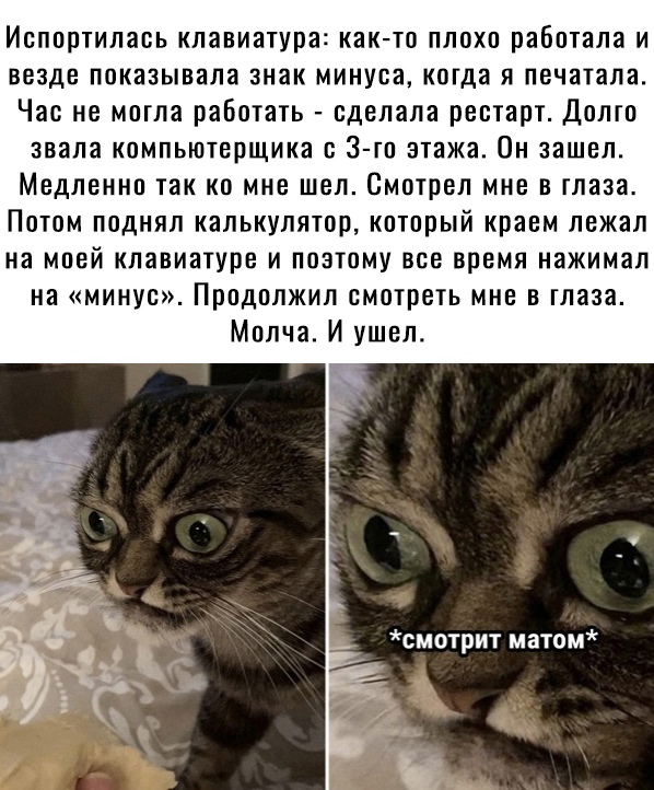 Испортилаоь клавиатура как то плохо работала и везде показывала знак минуса когда я печатала Час не могла работать сделала рестарт Долто звала компьютерщика 3 го этажа Он зашел Медленно так ко мне шел Смотрел мне в глаза Потом поднял калькулятор который краем лежал на моей клавиатуре и поэтому все время нажимал на минус Продолжил смотреть мне в глаза Молча И ушел