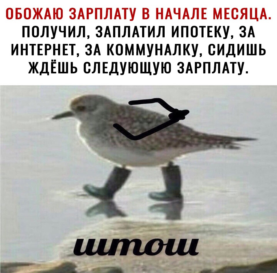 ОБОЖАЮ ЗАРПЛАТУ В НАЧАЛЕ МЕСЯЦА ПОЛУЧИЛ ЗАПЛАТИЛ ИПОТЕКУ ЗА ИНТЕРНЕТ ЗА КОММУНАЛКУ СИДИШЬ ЖДЁШЬ СЛЕДУЮЩУЮ ЗАРПЛАТУ