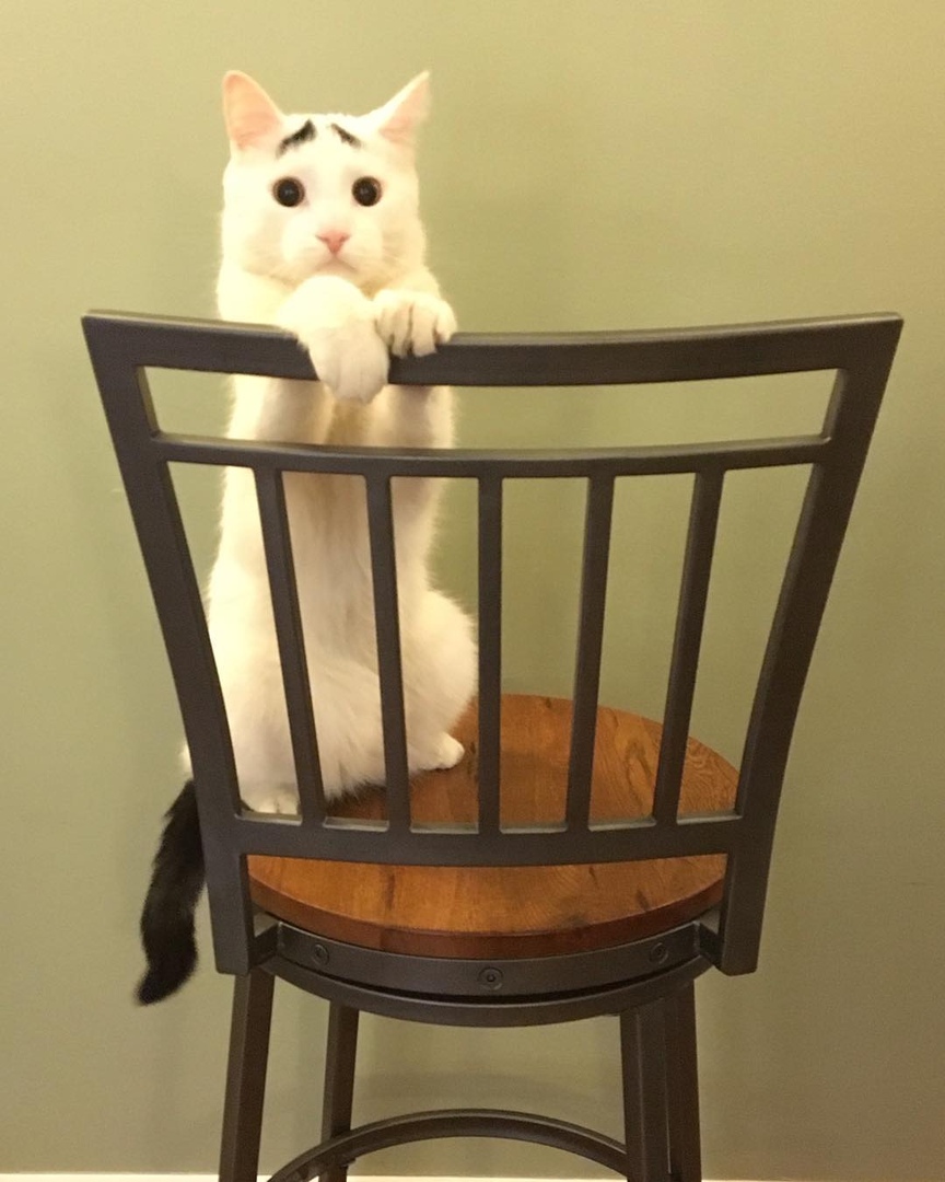 А