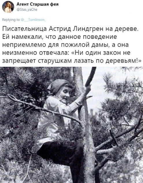 Писательница Астрид Линдгрен на дереве Ей намекали что данное поведение неприемлемо для пожилой дамы а она неизменно отвечала Ни один закон не запрещает старушкам лазать по деревьям