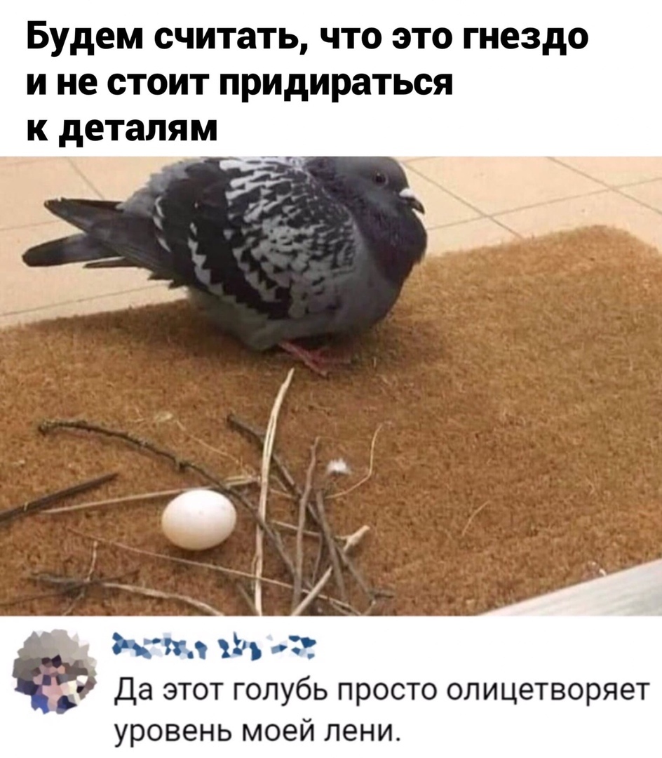 Будем считать что это гнездо и не стоит придираться к деталям Мгн л д да этот голубь просто олицетворяет уровень моей лени