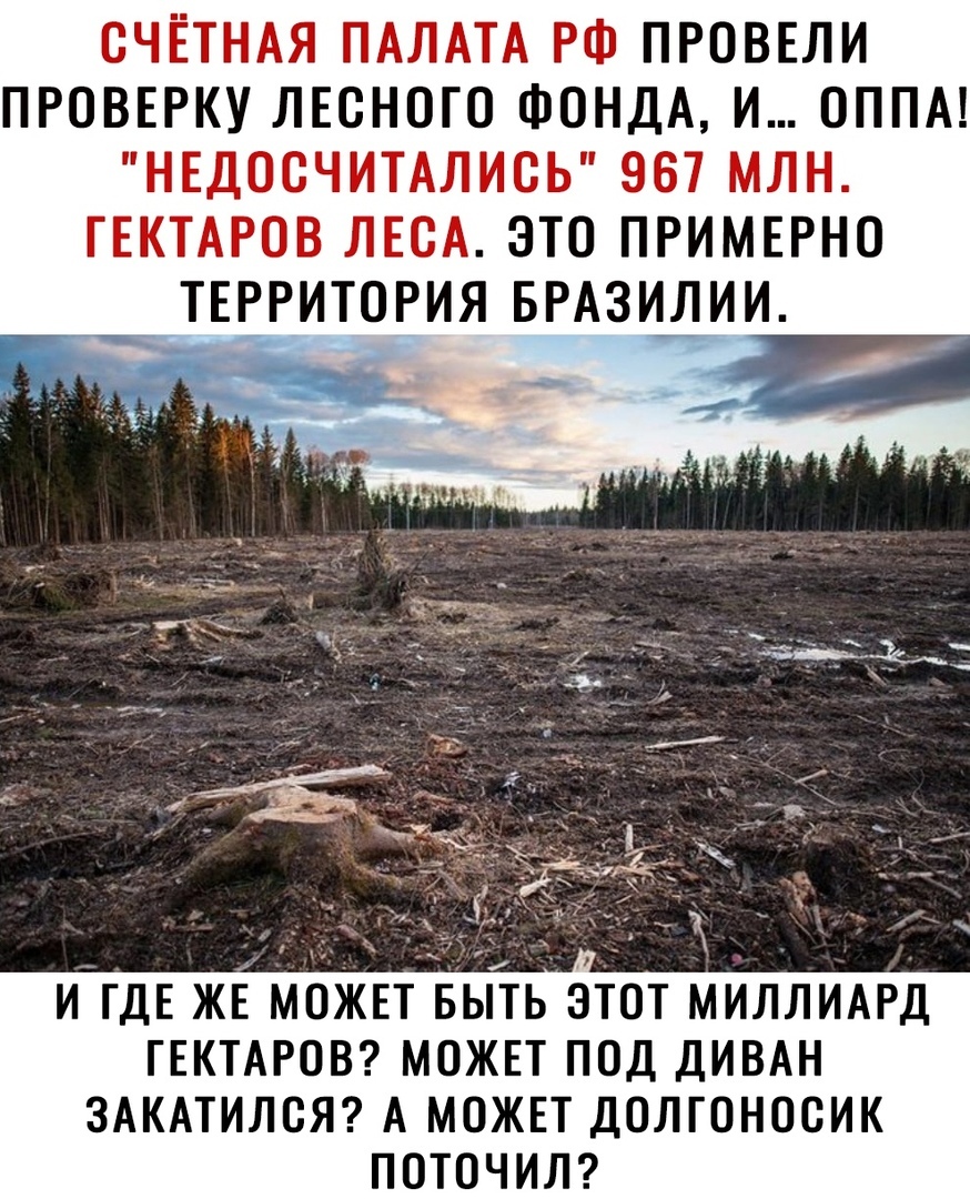 СЧЕТНАЯ ПАЛАТА РФ ПРОВЕЛИ ПРОВЕРКУ ЛЕОНОГО ФОНДА И ОППА НЕДООЧИТАЛИОЬ 967 МЛН ГЕКТАРОВ ЛЕСА ЭТО ПРИМЕРНО И ГДЕ ЖЕ МОЖЕТ БЫТЬ ОТОТ МИЛЛИАРД ГЕКТАРОВ МОЖЕТ ПОД ДИВАН ЗАКАТИЛОЯ А МОЖЕТ ДОЛГОНООИК ПОТОЧИЛ