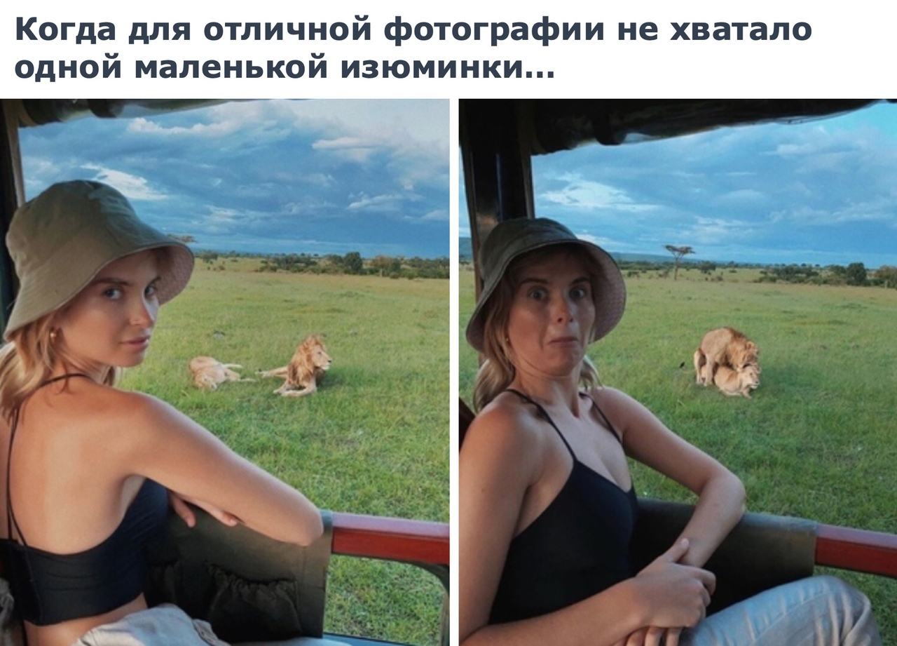 Когда для отличной фотографии не хватало одной маленькой изюминки